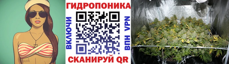 Каннабис Bruce Banner Ржев